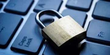 Более 800 нелегальных казино за 2 недели: «ПлейСити» успешно борется с теневым бизнесом