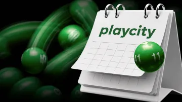 Государственный регулятор Playcity подвел итоги первого года работы